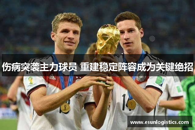 伤病突袭主力球员 重建稳定阵容成为关键绝招