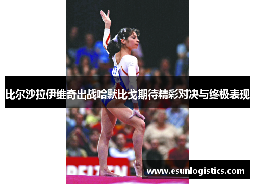 比尔沙拉伊维奇出战哈默比戈期待精彩对决与终极表现