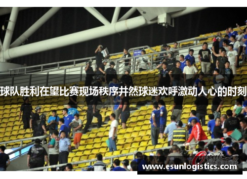 球队胜利在望比赛现场秩序井然球迷欢呼激动人心的时刻
